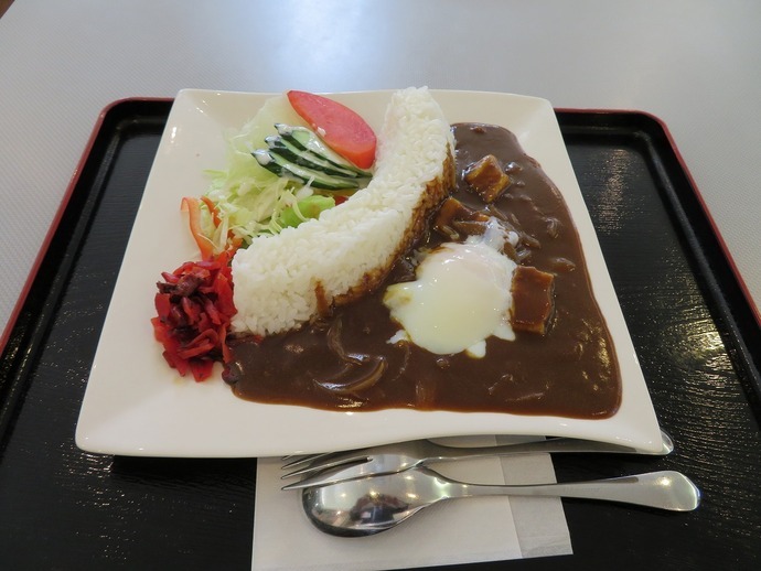 写真：鳴子ダムカレー