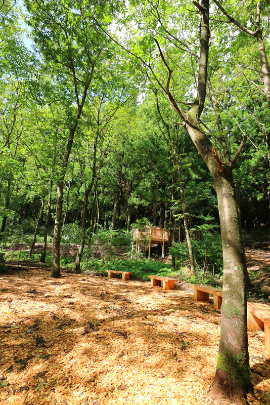 あゆの森公園全景