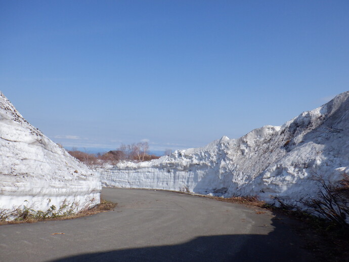 5合目付近道路