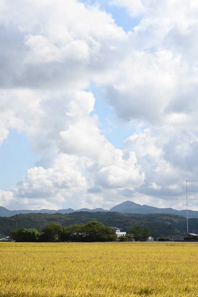 由利本荘市薬師堂の農地風景から