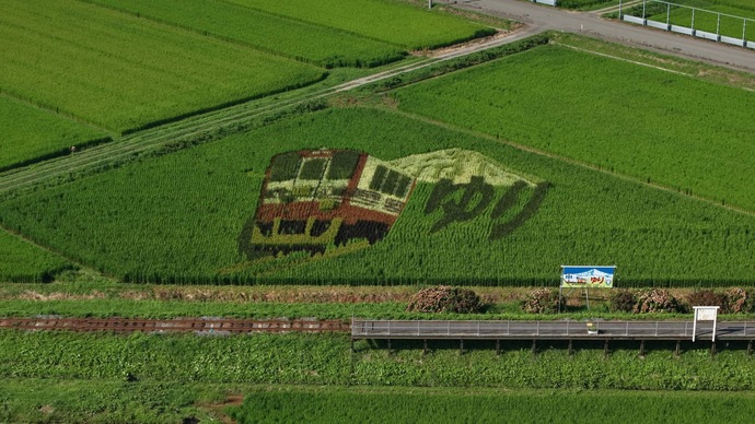 曲沢駅田んぼアート