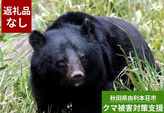 クマ被害対策支援