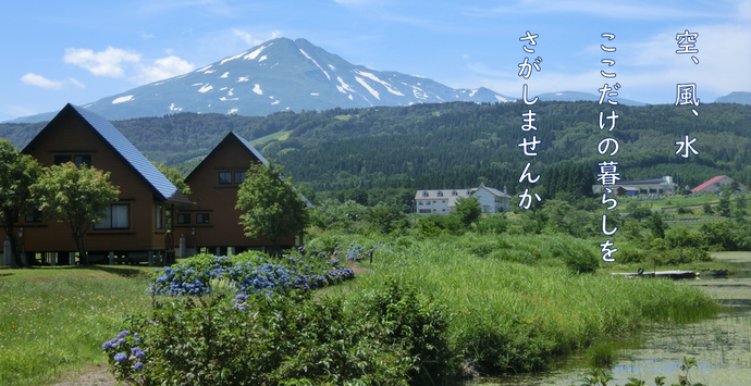 写真：分譲地