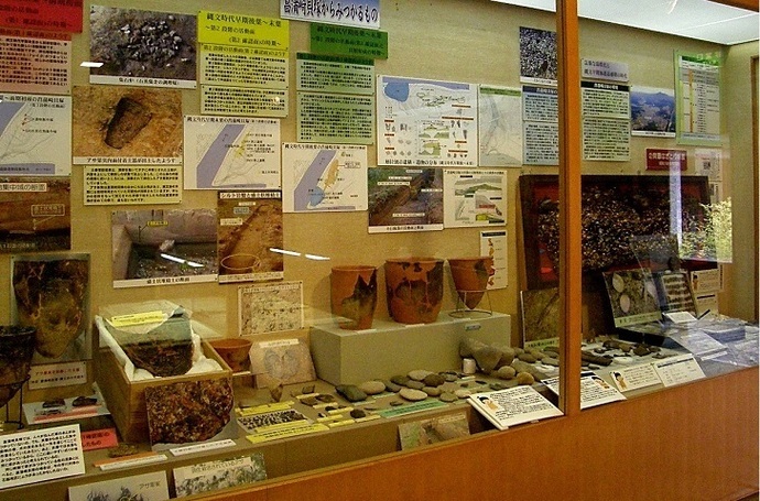 写真：菖蒲崎貝塚出土品