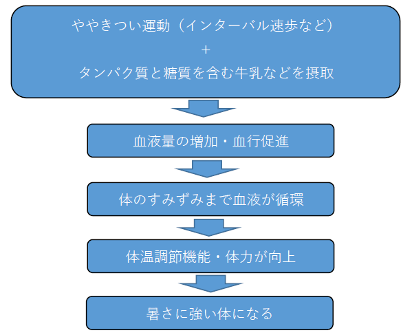 流れ図：体力づくり