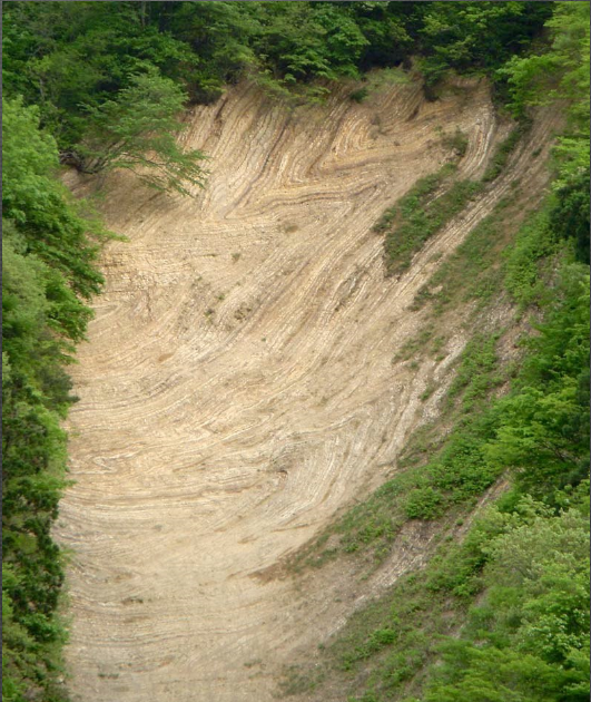 写真：宮沢林道の大しゅう曲露頭