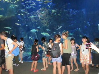 写真:男鹿水族館GAO見学