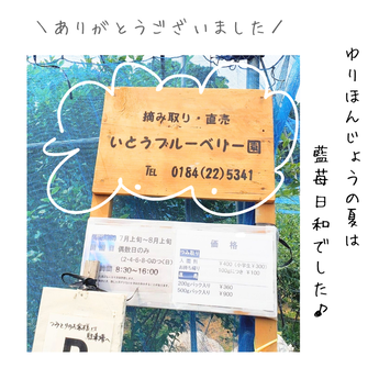 いとうブルーベリー園