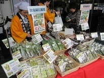 写真：山菜首都圏販売
