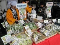 写真:山菜首都圏販売