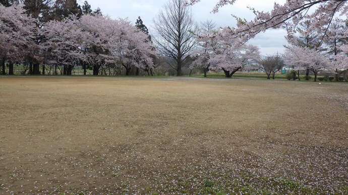 子吉公民館　子吉運動広場