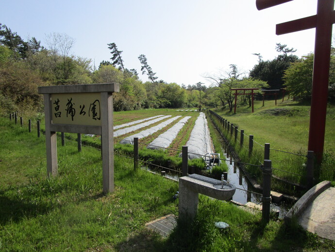 菖蒲公園