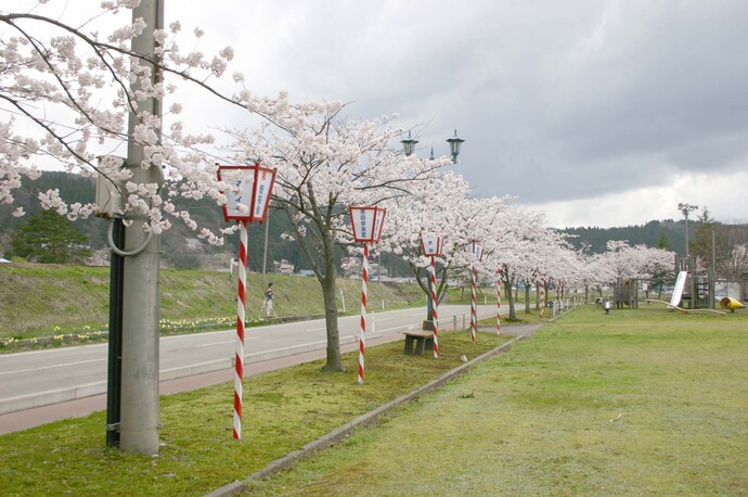 ふれあい公園の写真