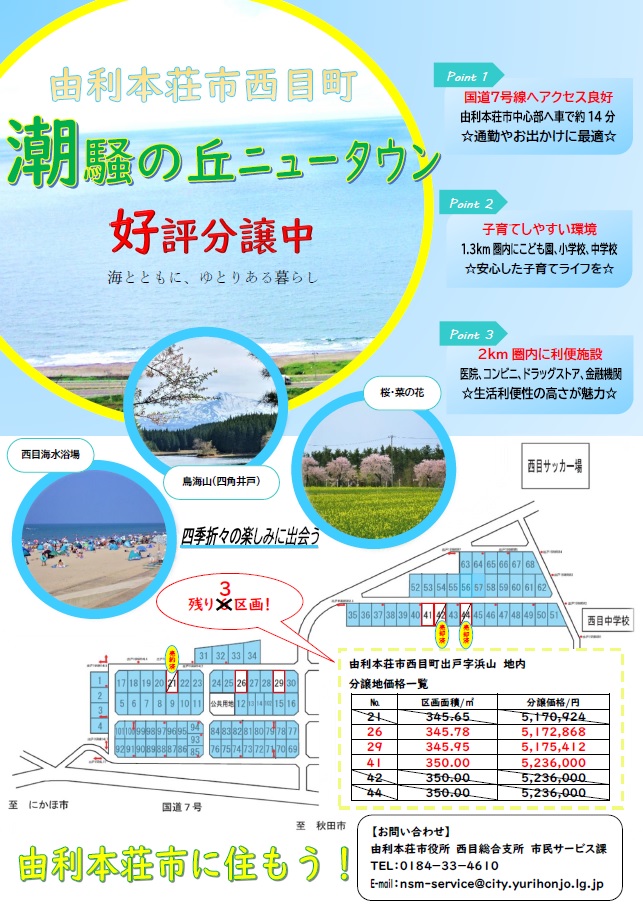 チラシ：宅地分譲