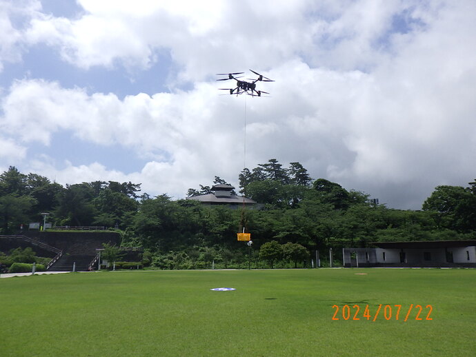 デモフライト