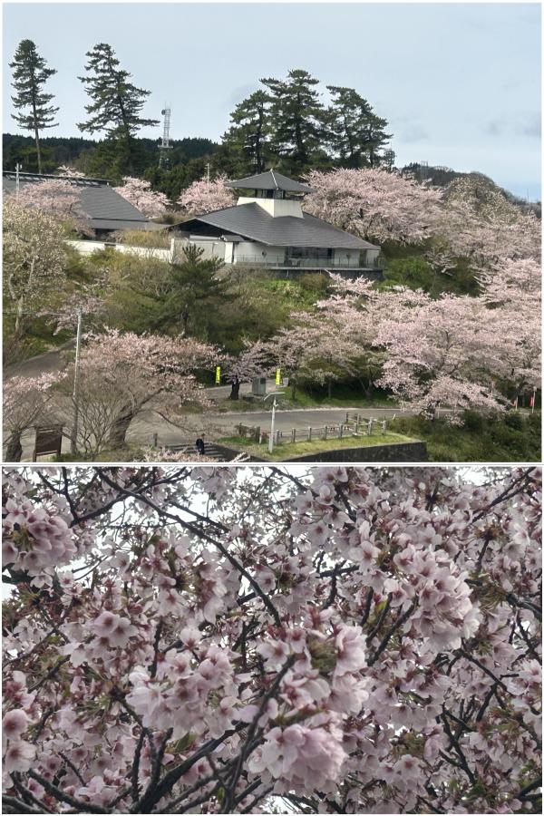 本荘公園
