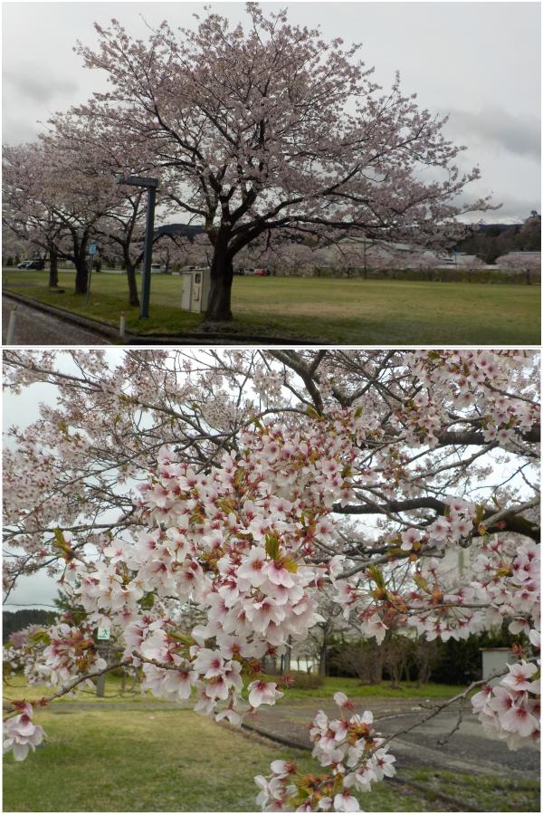 ふれあい公園