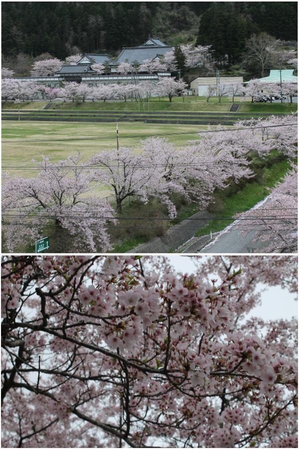 亀田城