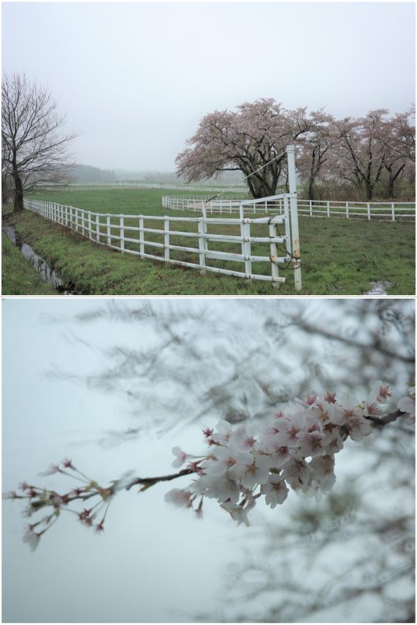 ゆり高原ふれあい農場