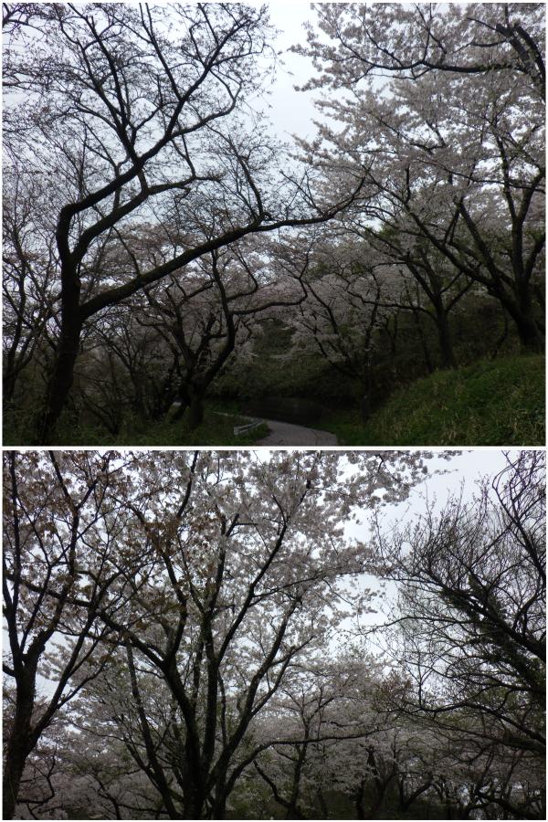 浜館公園