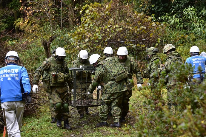 箱罠設置の様子