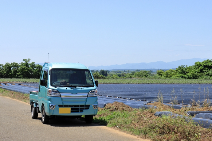 軽トラック
