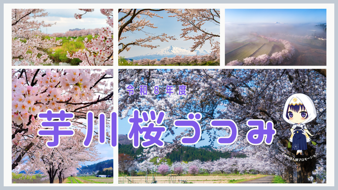 芋川桜づつみ