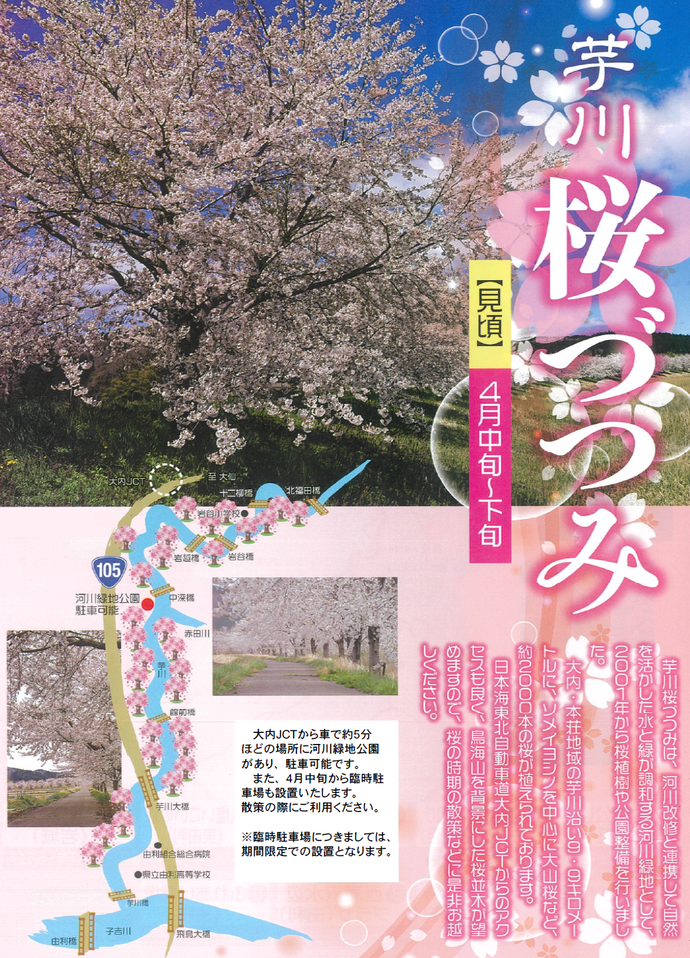 芋川桜づつみチラシ