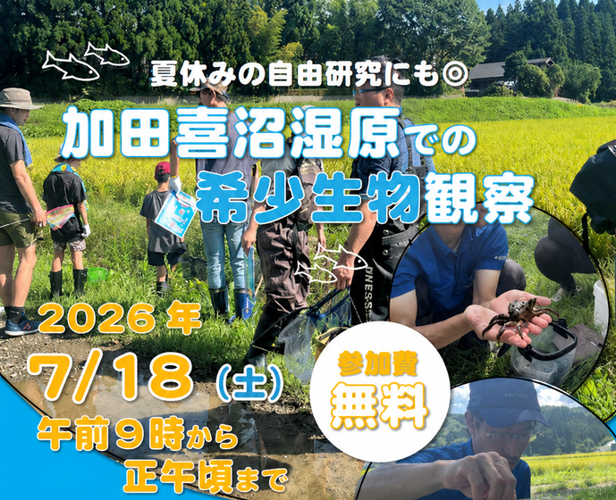 加田喜沼湿原