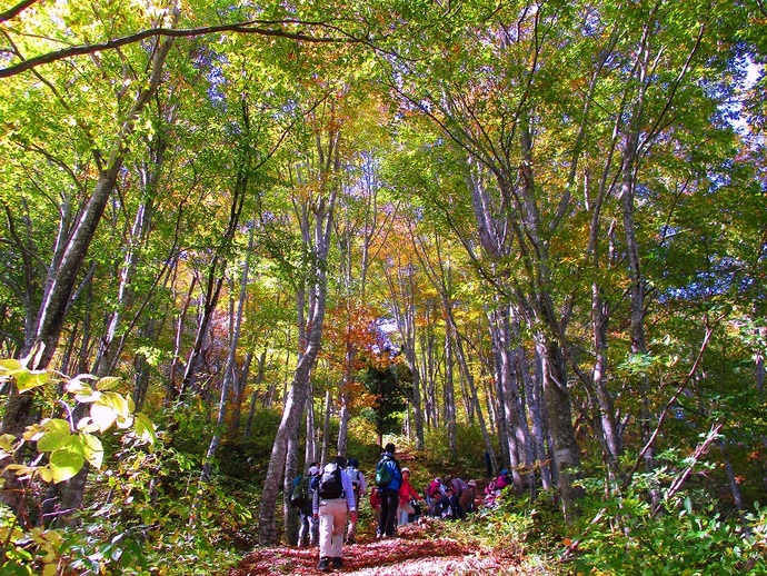 秋の八塩登山