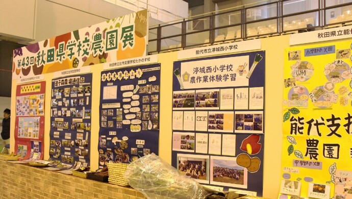 学校農園展写真