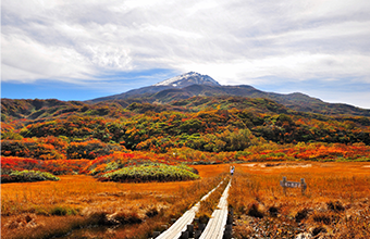 写真：鳥海山矢島口登山道（祓川）