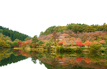 写真：八塩いこいの森