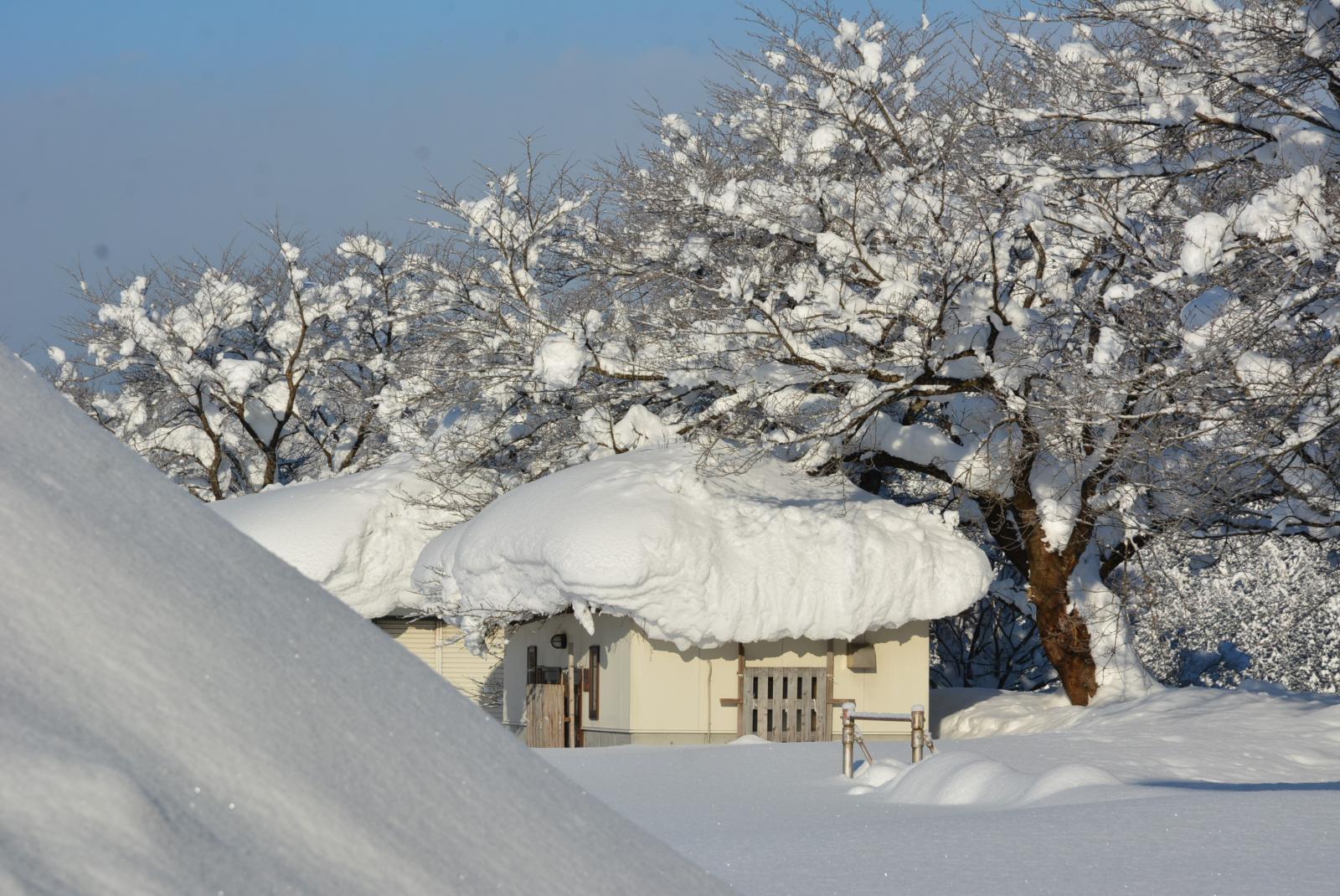 例年にない豪雪が続いています 全校 由利本荘市立 東由利小学校