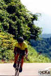 18-01-010.jpg (52099 oCg)