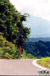 18-03-001.jpg (49406 oCg)