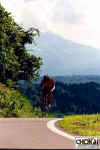 18-03-012.jpg (42071 oCg)
