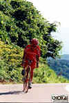 18-05-003.jpg (64327 oCg)