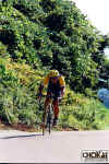 18-05-005.jpg (78798 oCg)