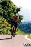 18-05-008.jpg (53941 oCg)