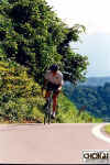 18-05-009.jpg (62380 oCg)