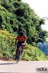 18-05-027.jpg (75754 oCg)