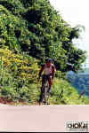18-05-032.jpg (73423 oCg)