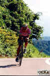 18-05-033.jpg (59471 oCg)