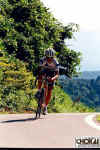 18-06-002.jpg (63354 oCg)