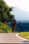 18-06-012.jpg (49583 oCg)