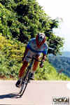 18-06-022.jpg (62334 oCg)