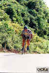 18-06-023.jpg (79662 oCg)