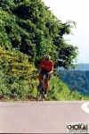 18-07-007.jpg (64987 oCg)