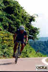 18-08-011.jpg (53227 oCg)